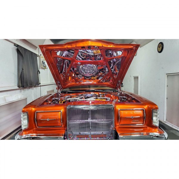 1977-79 THUNDERBIRD HOOD7